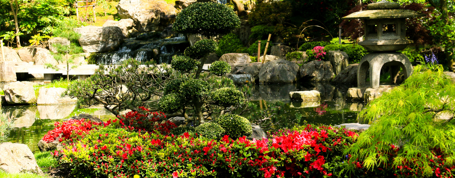 Ogród japoński - jak zaprojektować i urządzić przestrzeń w stylu orientalnym?